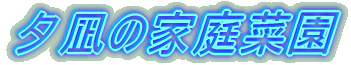 [̉ƒ؉